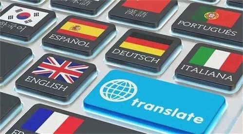 圖 沈陽(yáng)本地翻譯公司 駕照護(hù)照翻譯蓋章 政府認(rèn)證 包郵 沈陽(yáng)翻譯服務(wù)