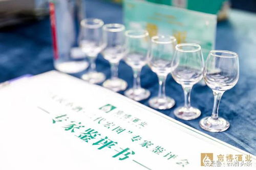 上市當天簽約過億,這是誰的 宏圖